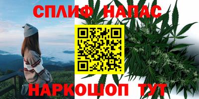 индика Малоярославец
