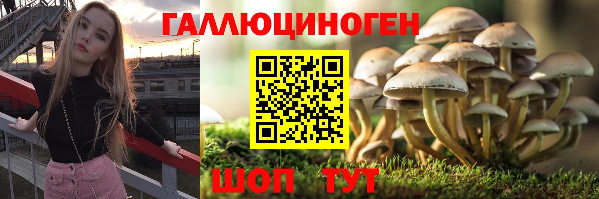 Псилоцибиновые грибы мухоморы Топки